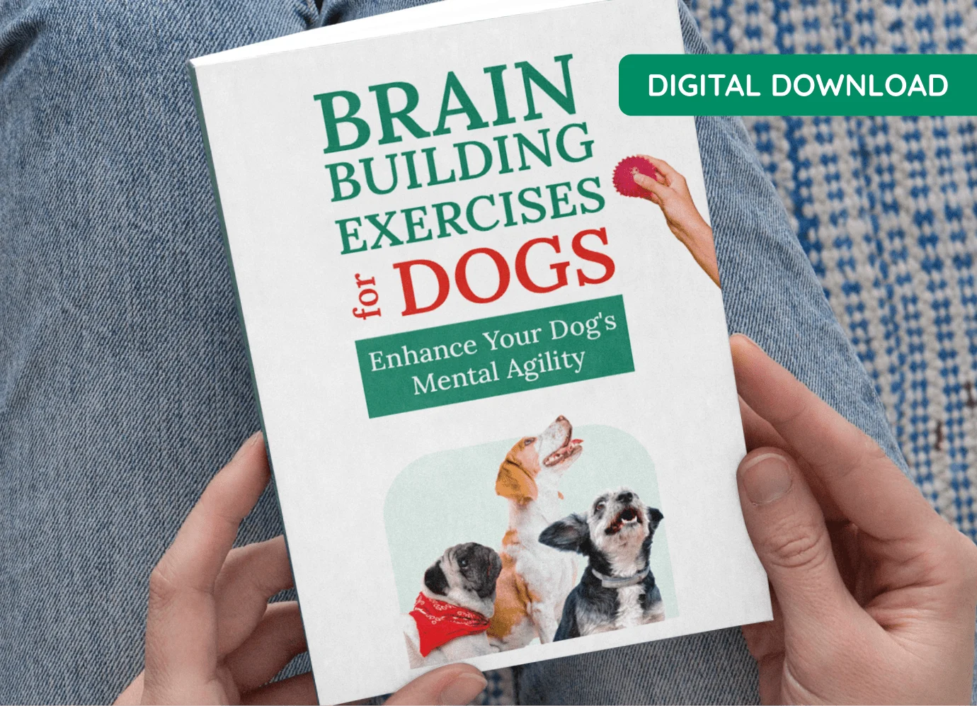 Brain Building Exercises for Dogs